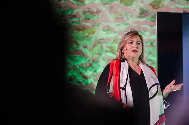 Αναζητώντας τη Σοφία στον Σύγχρονο Κόσμο